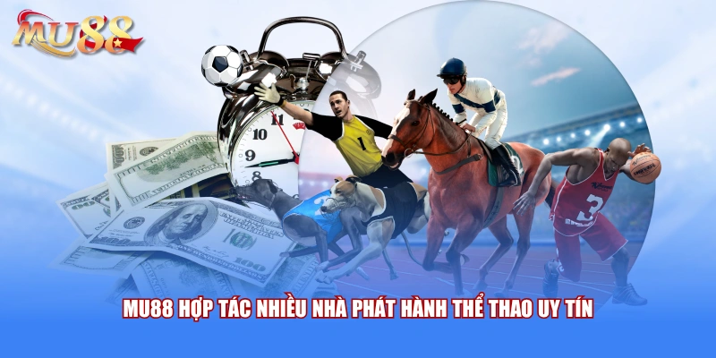 Thể thao mu88 hợp tác nhiều sảnh lớn